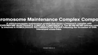 Medical vocabulary: What does Minichromosome Maintenance Complex Component 8 mean