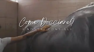 Come docciare un cavallo? I nostri consigli per avere un grigio splendente | 🐴 HORSE PLANET