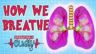 Operation Ouch - Breathing | Amazing Body Facts for Kids
