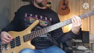 Reel Big Fish  - She's Famous Now  - Bass Cover