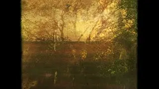Origamibiro - Dissect Ephemeral