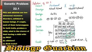 Genetic Problem # 22.1, Ch-22 Inheritance | NBF/Federal Biology-12