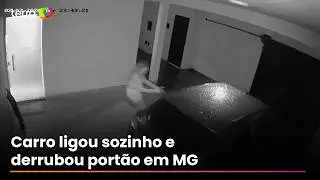 Carro liga sozinho, derruba port&atilde;o e assusta moradora em Uberl&acirc;ndia