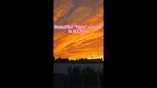 Beautiful 