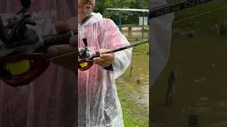 Carretilha S22 e Vara New Pampo da Albatroz Fishing #pescaesportiva #tatosnopesqueiro