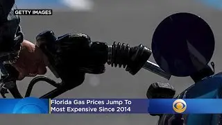 AAA: Florida Gas Prices Jump To Most Expensive Since 2014