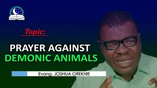 Prayer Against Strange Animals in Dreams - Dealing with Demonic Creatures