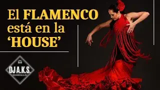 El FLAMENCO está en la 'HOUSE'