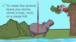 13 Tips on How to Survive Wild Animal Attacks