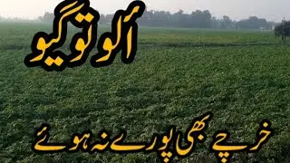 Kashan bari muskal/main/.nuksan/?!aloka naya rate?&