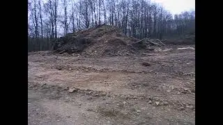 Im Oberdevon der Eifel mit einer Fauna, die von Melocriniten gepr&auml;gt ist...