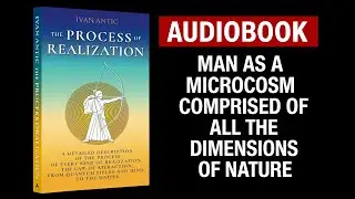 The Process of Realization audiobook by Ivan Antic (Chapter 3)