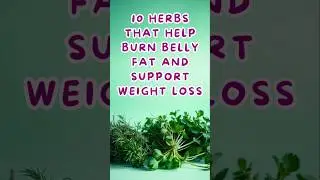 Top 10 Herbs To BURN Belly Fat! | Herbs for weight loss #shorts
