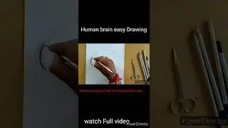 human brain diagram//Exam and Project work//#humanbrain #shorts