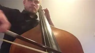 Merle - Caballero - Double Bass