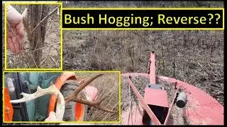Project 211 & Bush Hogging in Reverse! Here's WHY. I just saved over $2,000!
