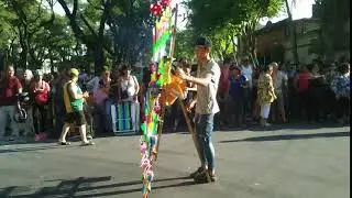 ZOOM0725