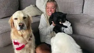 Super Cooper presents Super Cooper Sunday