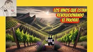 (326)LOS VINOS QUE ESTAN REVOLUCIONANDO EL PRIORAT