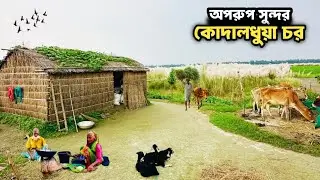 অপরুপ সৌন্দর্যে ঘেরা কোদালধুয়া চর | Jamuna River Char Life Bangladesh 