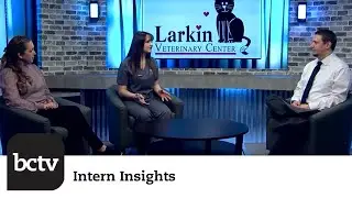 Wyomissing High School | Intern Insights