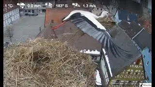 Höchstadt a.d. Aisch DE - 😂 Der FREMDE mit dem Ring trägt den Strohhalm