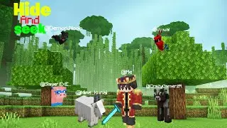 THE ULTIMATE MORPH MOD HIDE AND SEEK CHALLENGE