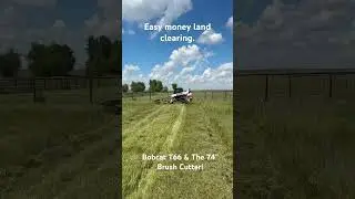 land clearing job with the Bobcat T66 and 74&rdquo; brush cutter! #bushhogging #skidsteers #brushclearing