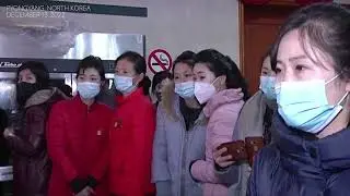 'Eat bread as a staple food' Pyongyang opens exhibition displaying foods from pastry to noodles