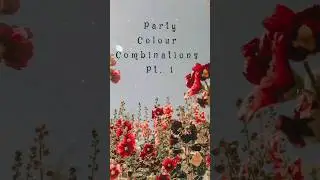 Colour Teams of Party&hearts;️🎨⚪...... #party #vintage #poolparty #soft #sweet #colors #viral