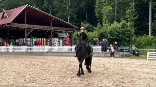 Pferdeshow mit Friese und Shetty