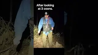 Happy Dance!! #coondogs #coonhunting #mississippi #outdoors #snowwhite #treeingwalkers