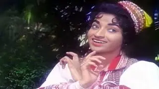 पंख होते तो उड़ आती,तुझे दिल का दाग़ दिखलाती रे|£ Sehra1963 | Lata Mangeshkar Songs | Sandhya |