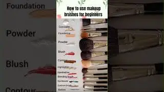 Brushes for beginners#beautytips          #makeuphacks#brushes #makeupbrushes