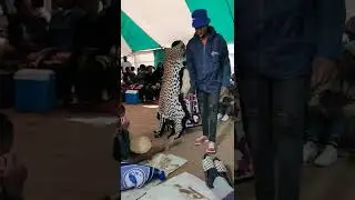 Mantjonane_Ga_Molekane