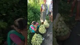 market in Andhra Pradesh || tribal daily local market