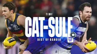 Time Cat-Sule | The Best Of Danger
