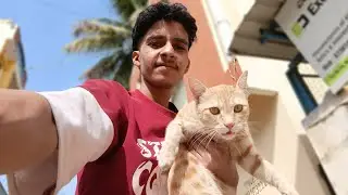 Cat Ke Saat Full Masti l बिल्ली के साथ मस्ती 😍 #trending 
