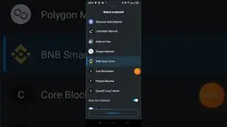 OEX Miners, How To Import OEX Mainnet Token On Matemask Under Core Network.