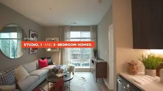 Brand New Apartments in Washington DC | Modern on M | The Modern Life.