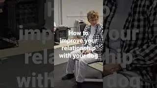 Building trust and improving your relationship with your dog