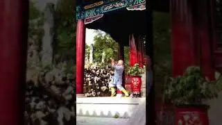 Shaolin 18 animal routine