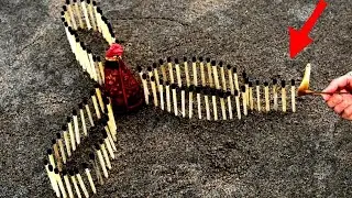 Matchstick Chain Reaction Domino Vs Diwali Crackers Amazing Experiment 😱 क्या होगा ??