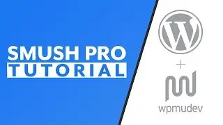 WordPress Images Destroying Your Site Speed? Try This