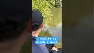 TBT 2 Minute Challenge whilst doing a Method Feeder Tip video. Can I catch a Bream or Carp?