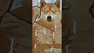 Cheems vs Doge (All form)