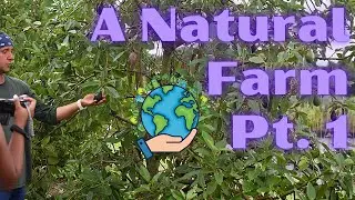 A Natural Farm Tour Part 1