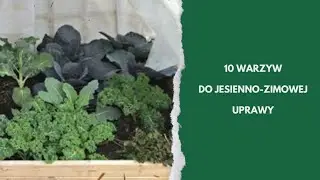 10 WARZYW odpornych na chłód do uprawy jesienią i zimą