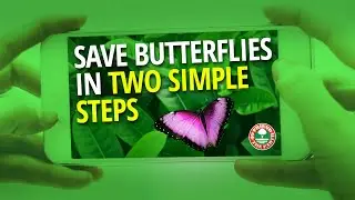 Save the Butterflies - Conservation Project | Friend of the Earth | by Hesmart Design Studio