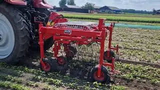 Bodemvolgende aangedreven wiedeg voor onkruidbestrijding in kleine planten en zaailingen.